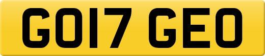 GO17GEO